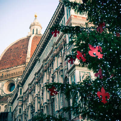 8 dicembre a Firenze, l’accensione dell’albero di Natale in piazza Duomo