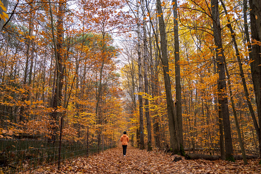 Foliage d’autunno sul Monte Amiata – Sabato 23 Ottobre ore 14.15