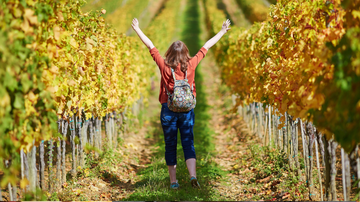 Cosa fare questo fine settimana in Toscana: 14-16 ottobre 2022