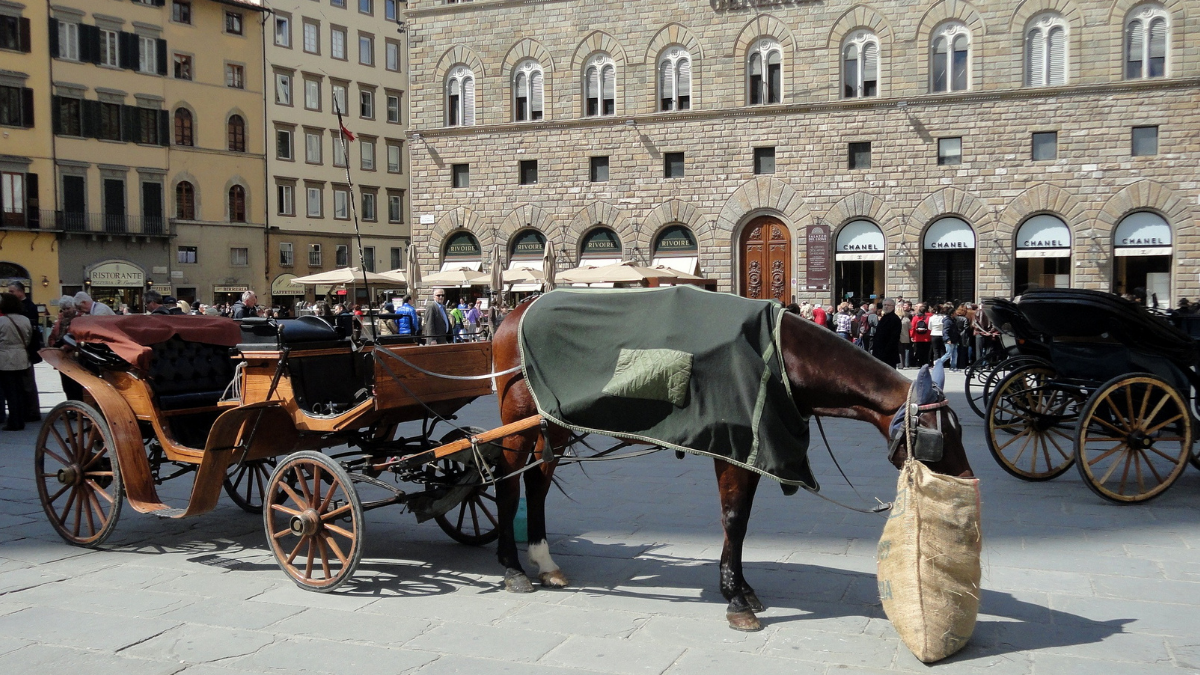 Cosa fare questo fine settimana a Firenze: 21-23 ottobre 2022