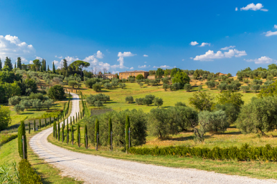 montepulciano	33.100	â‚¬ 0,79	
60
montepulciano toscana	1.000	â‚¬ 1,03	
51
montepulciano cosa vedere	1.000	â‚¬ 0,03	
50
cosa vedere a montepulciano	390	â‚¬ 0,02	
52
montepulciano siena	260	â‚¬ 0,50	
42
dove si trova montepulciano	170	n/a	
45
siena montepulciano	90	n/a	
68
montepulciano e dintorni	90	â‚¬ 0,39	
40
montepulciano dove mangiare	90	â‚¬ 0,57	
52
montepulciano si