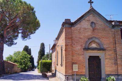 Cipressi Bolgheri e Vino: un'esperienza in Toscana
