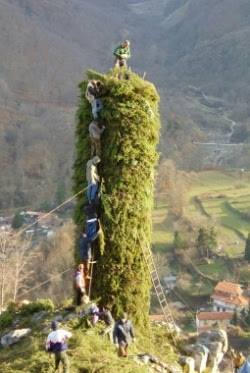 mercatini Natale Firenze
cavalcata dei magi Firenze
luminara Pisa
natale lucca
lucca natale
i natalecci
natalecci
natalecci lucca
lucca natalecci
i Natalecci di Lucca
Natalecci a Lucca
tradizione dei Natalecci
quando si fanno i Natalecci